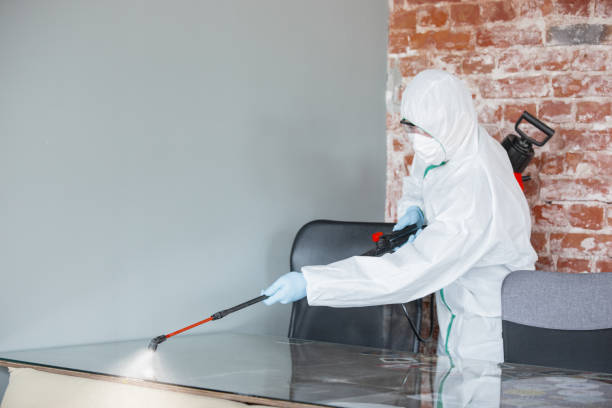 Biohazard Mold Removal in Eleanor, WV